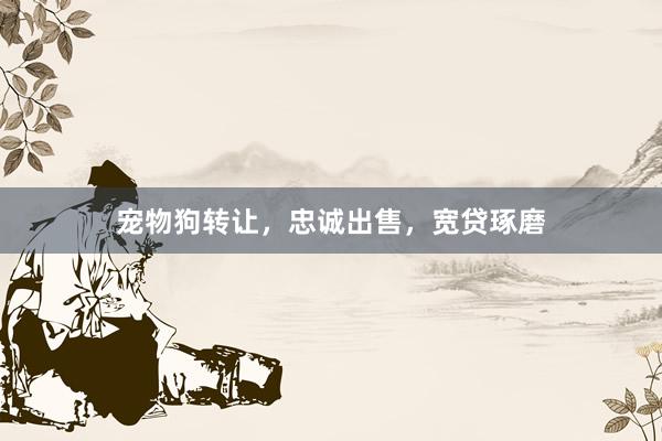 宠物狗转让，忠诚出售，宽贷琢磨